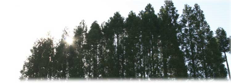 国産木材　エコロジー　京都議定書　木づかい運動　co2削減