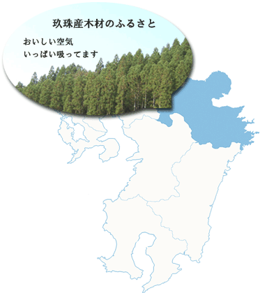 九州大分県玖珠地域で育った玖珠産木材